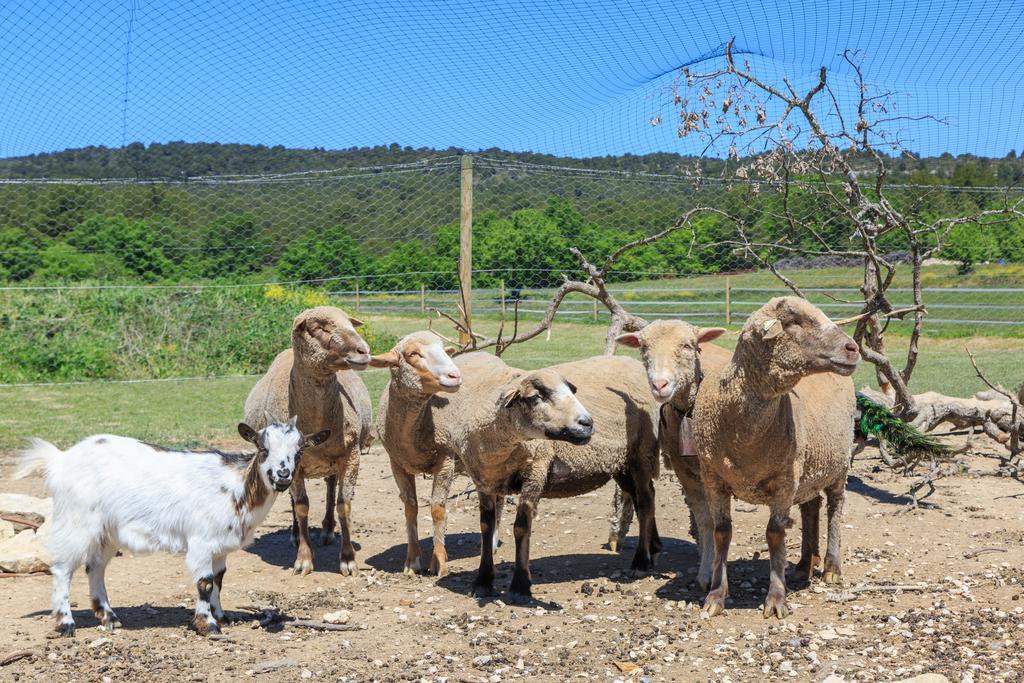 Lou Mas Li Pitchoun "Le Luberon " Villa กอร์ด ภายนอก รูปภาพ