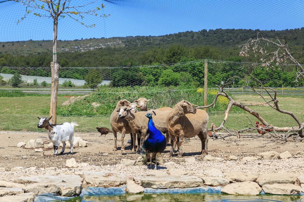 Lou Mas Li Pitchoun "Le Luberon " Villa กอร์ด ภายนอก รูปภาพ