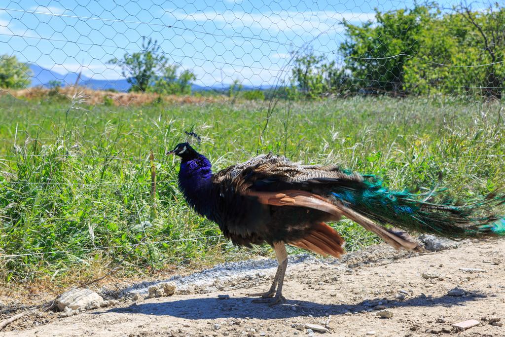 Lou Mas Li Pitchoun "Le Luberon " Villa กอร์ด ภายนอก รูปภาพ